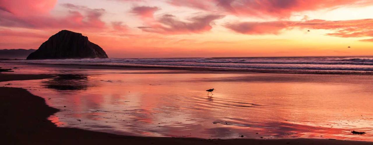 A random Wednesday post at 06:11:01 AM