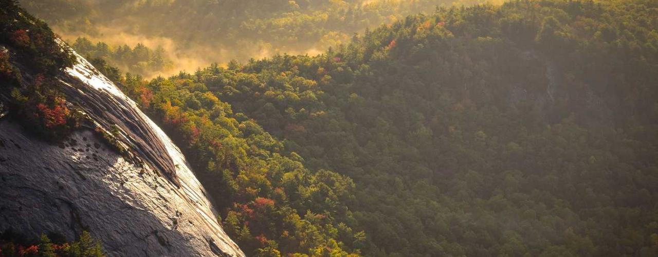 A random Thursday post at 06:11:01 AM