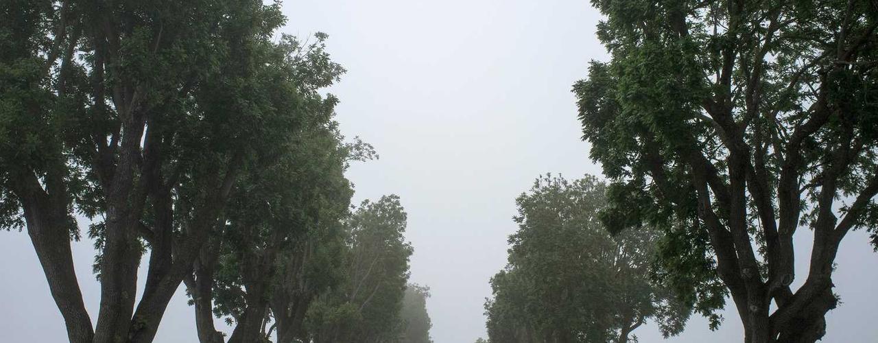 A random Thursday post at 06:11:01 PM