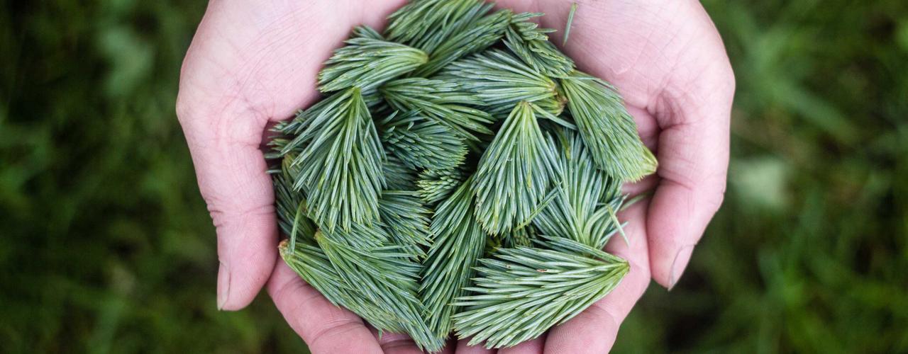 A random Monday post at 12:11:01 AM