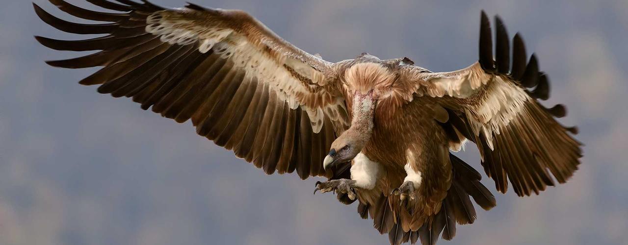 A random Friday post at 12:11:01 AM