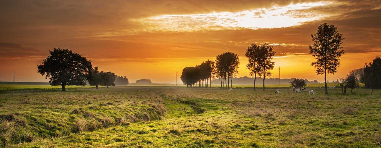 A random Thursday post at 06:11:03 PM