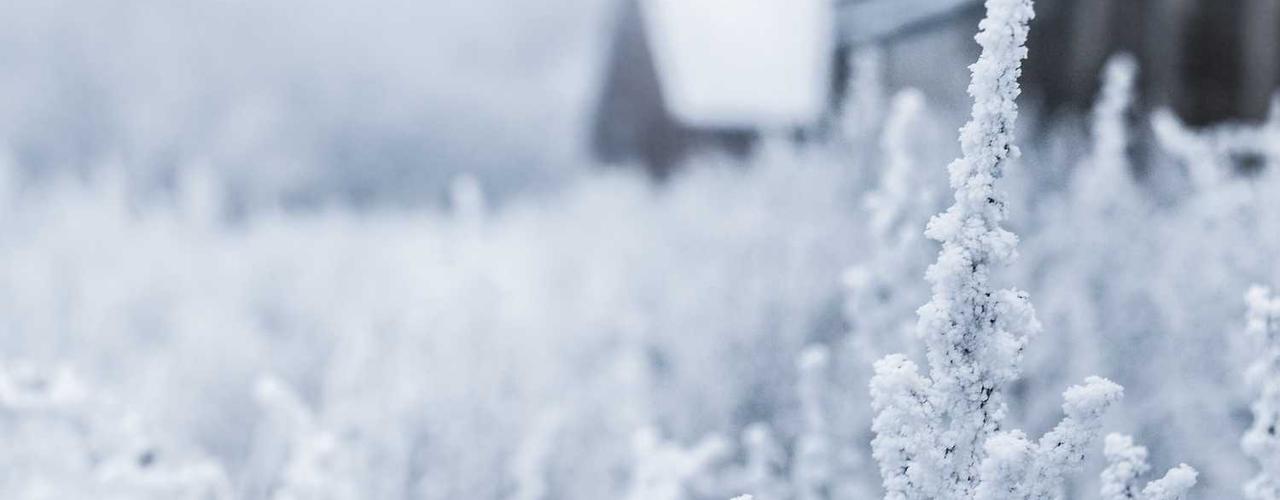 A random Friday post at 06:11:02 AM