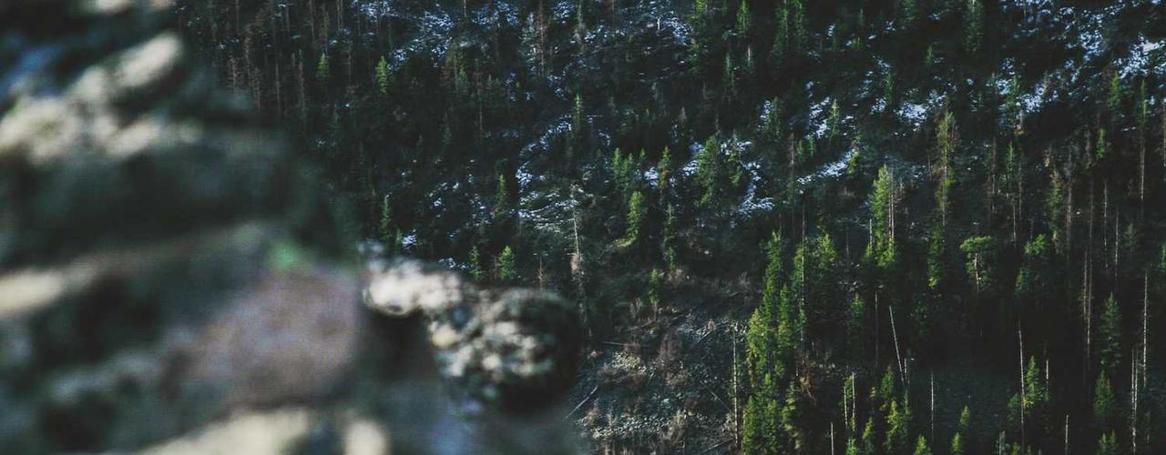 A random Friday post at 06:11:01 PM