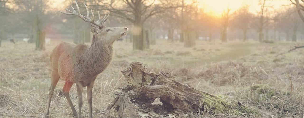 A random Saturday post at 12:11:01 PM