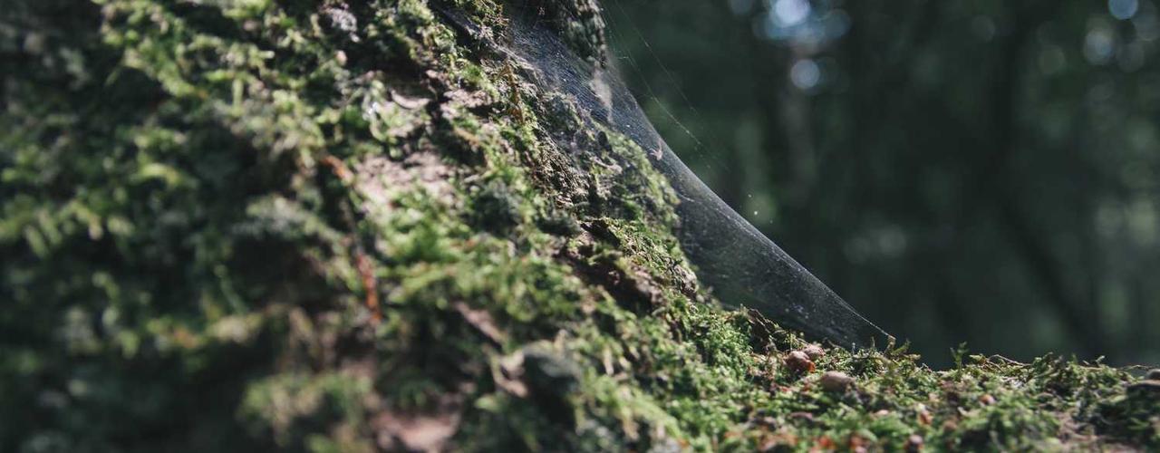 A random Sunday post at 12:11:01 AM