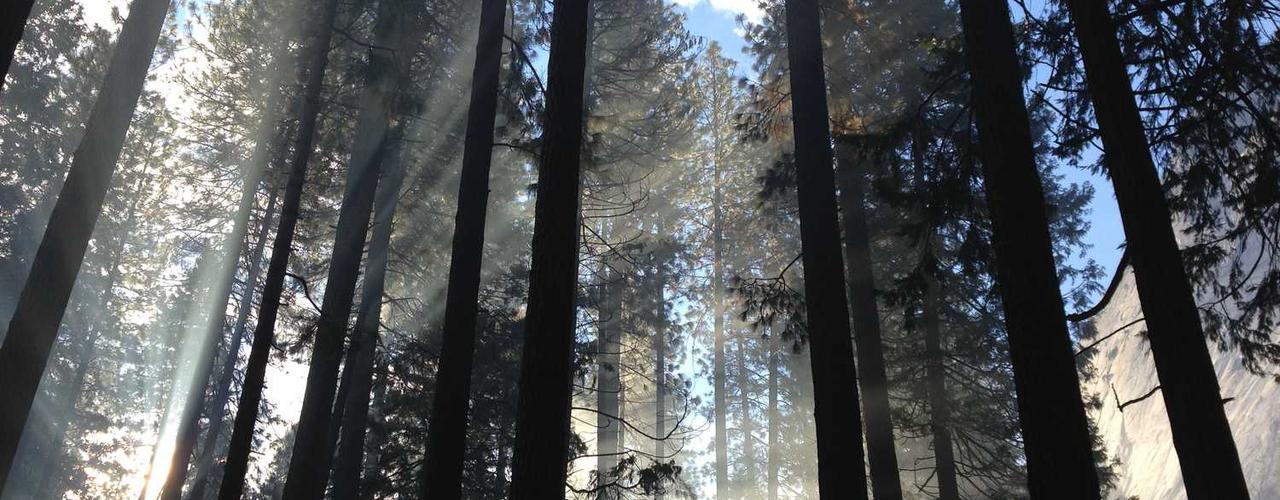 A random Sunday post at 06:11:01 PM