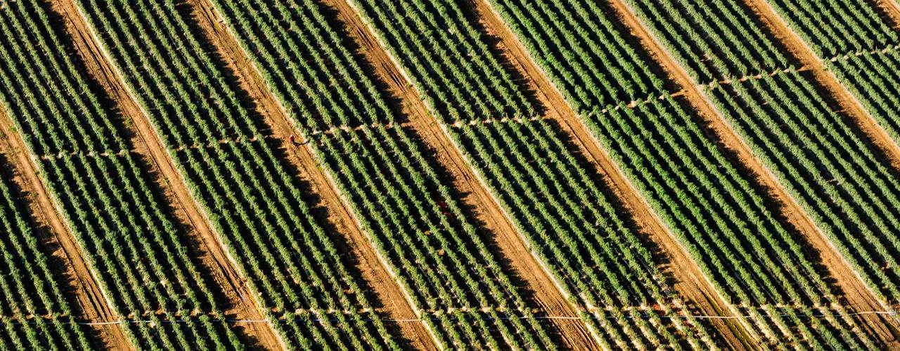 A random Wednesday post at 06:11:01 AM