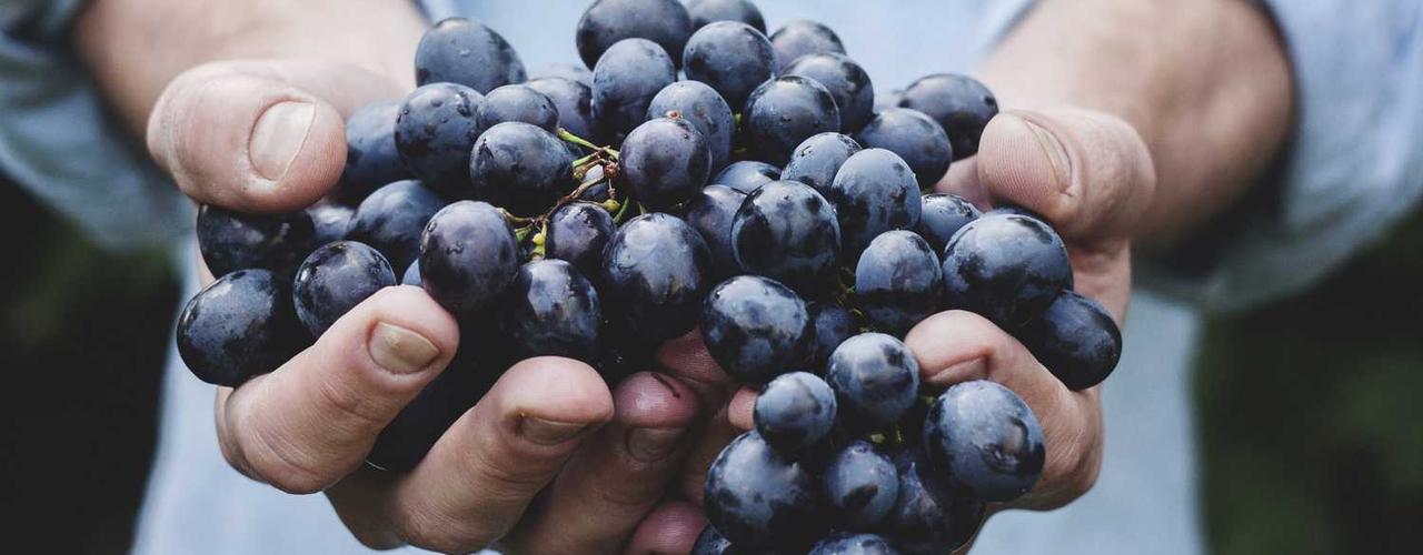 A random Thursday post at 06:11:01 AM