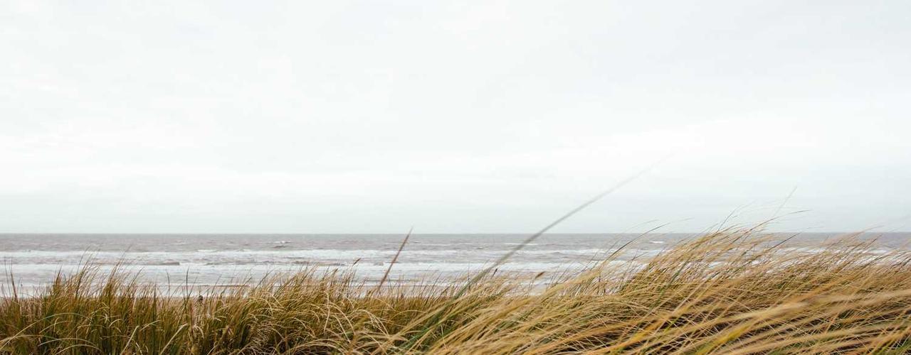 A random Thursday post at 06:11:01 PM