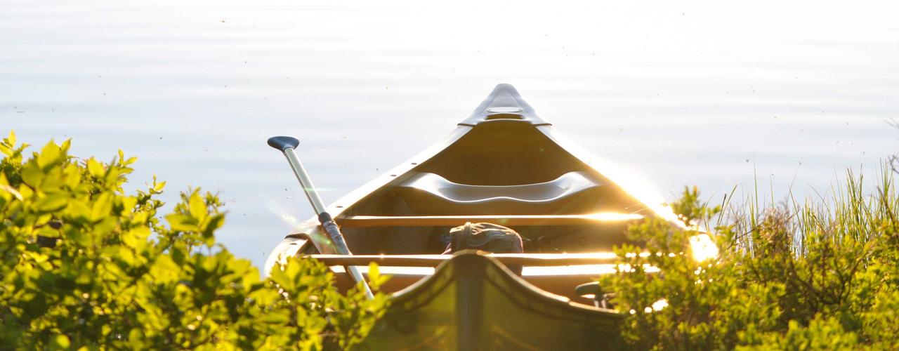 A random Wednesday post at 06:11:01 PM