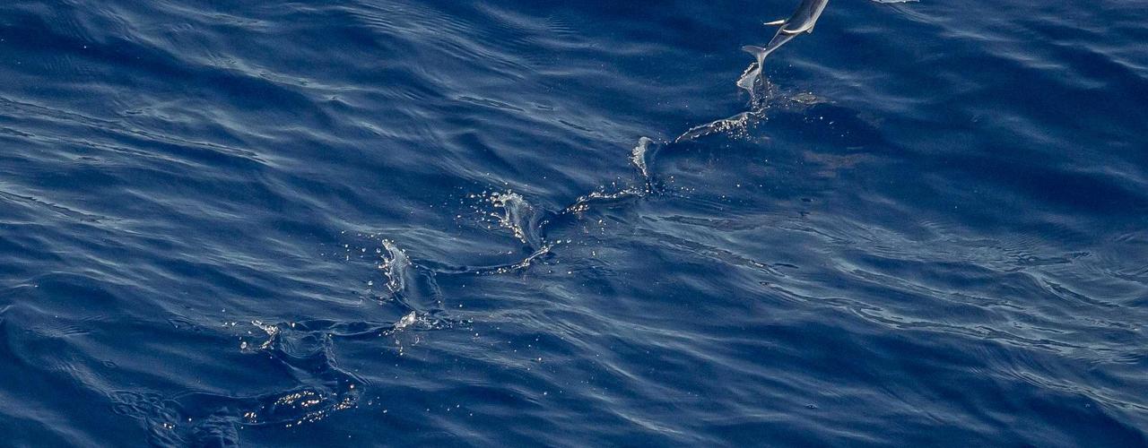 A random Saturday post at 06:11:02 PM