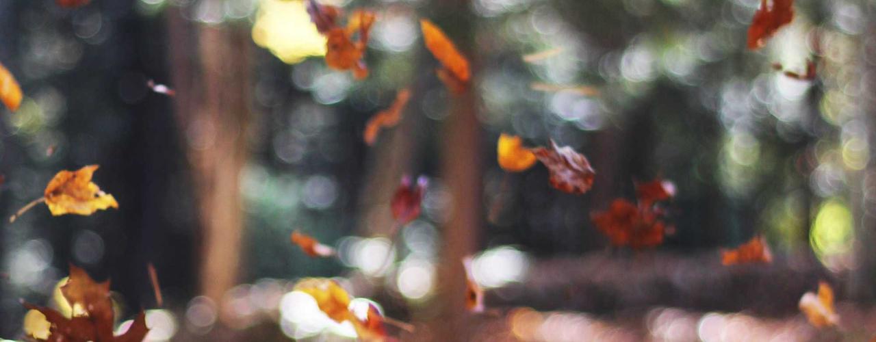 A random Tuesday post at 12:11:02 AM