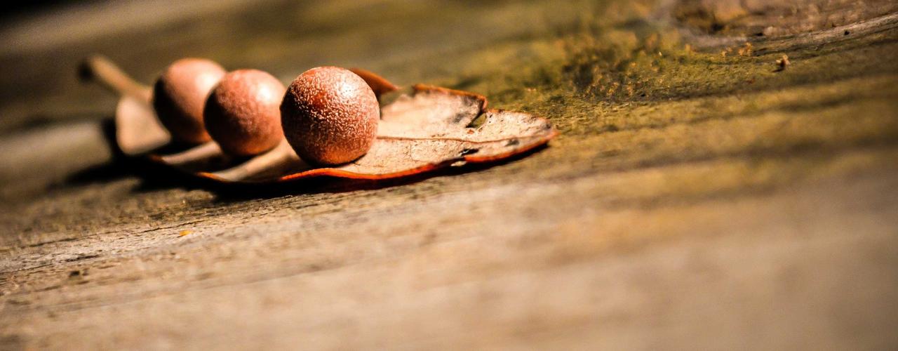 A random Tuesday post at 06:11:01 AM