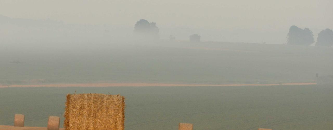 A random Monday post at 12:11:01 AM