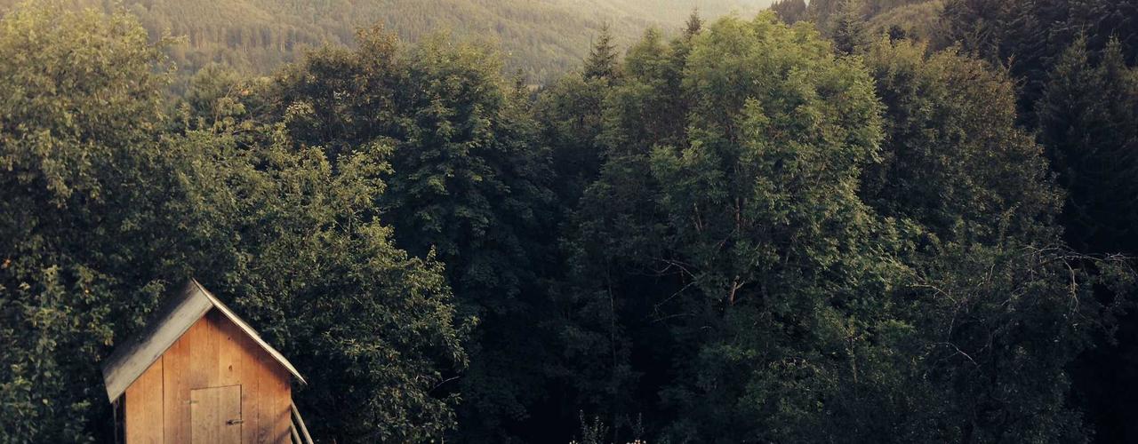 A random Friday post at 06:11:01 AM