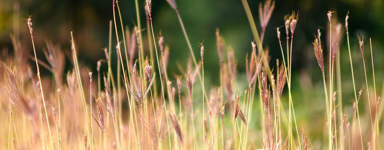 A random Saturday post at 06:11:01 PM