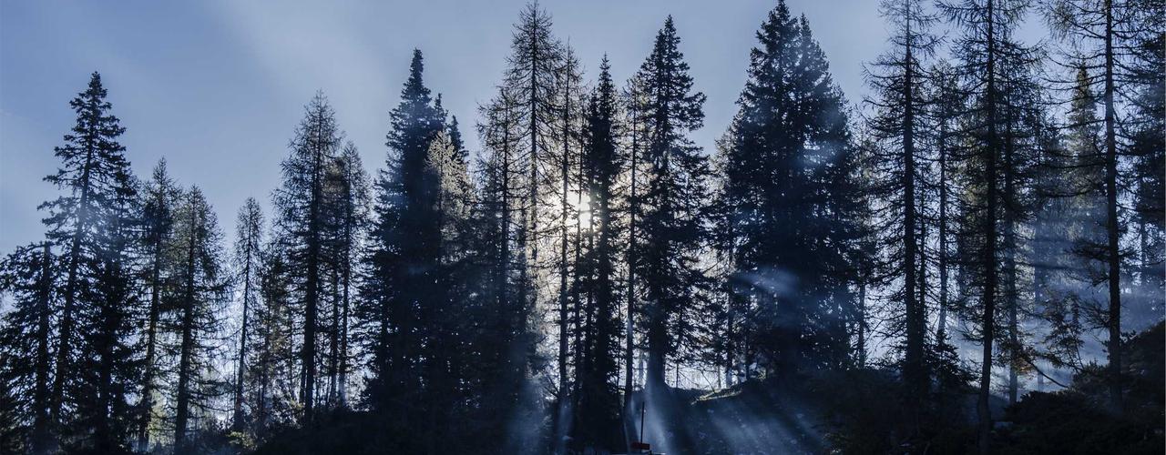 A random Friday post at 12:11:02 PM