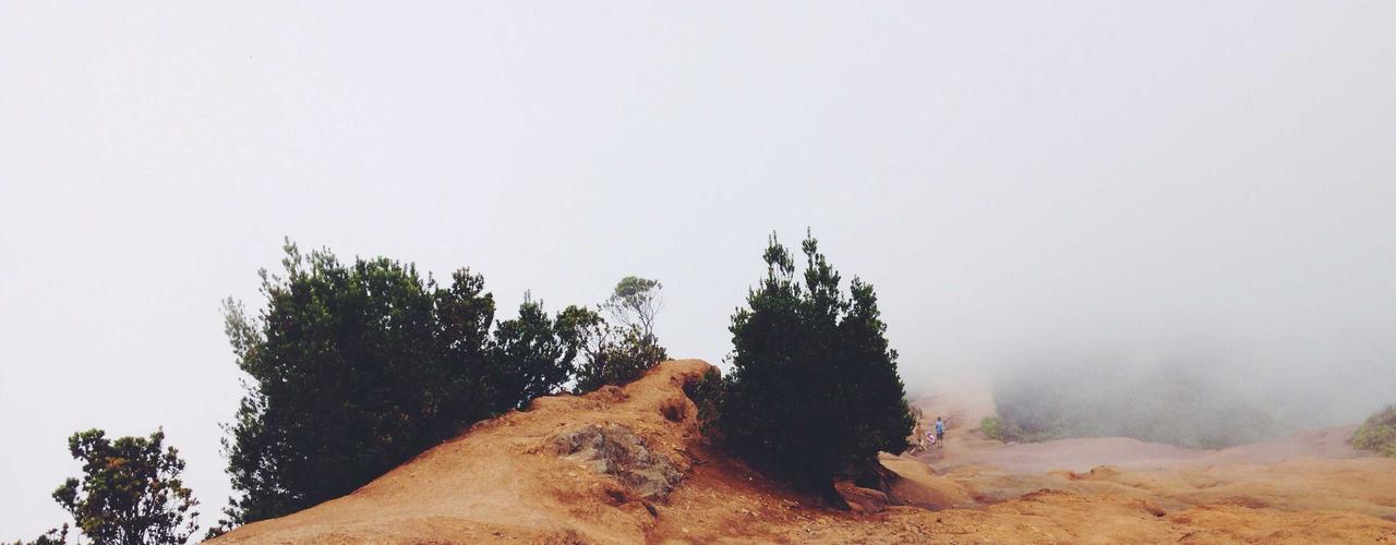 A random Saturday post at 12:11:01 PM