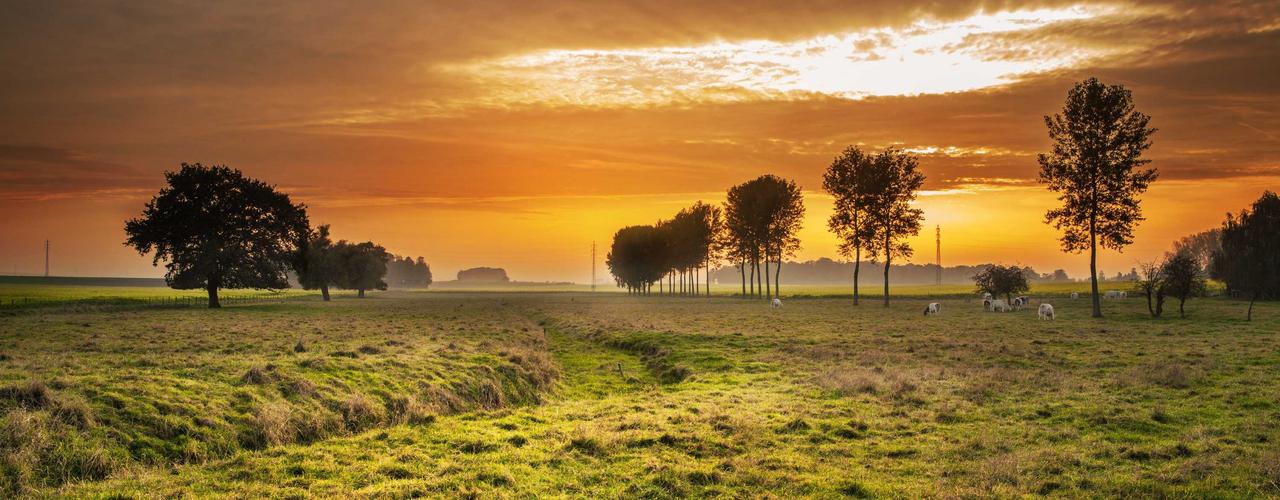 A random Sunday post at 06:11:01 AM