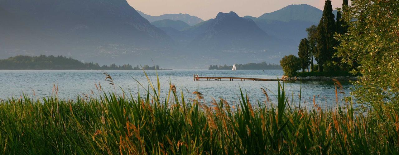 A random Tuesday post at 06:11:01 PM