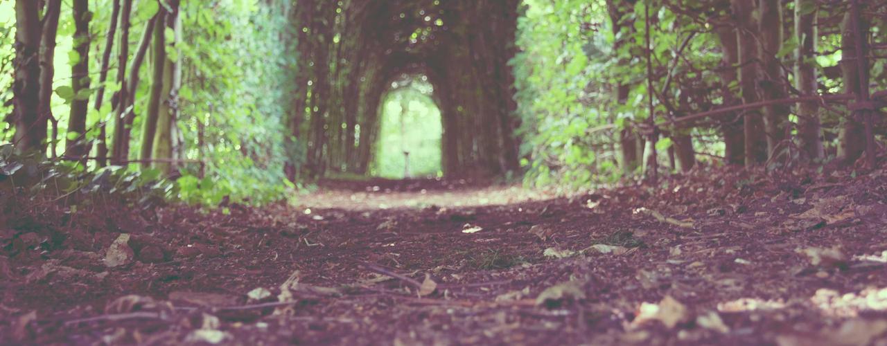 A random Saturday post at 06:11:01 PM