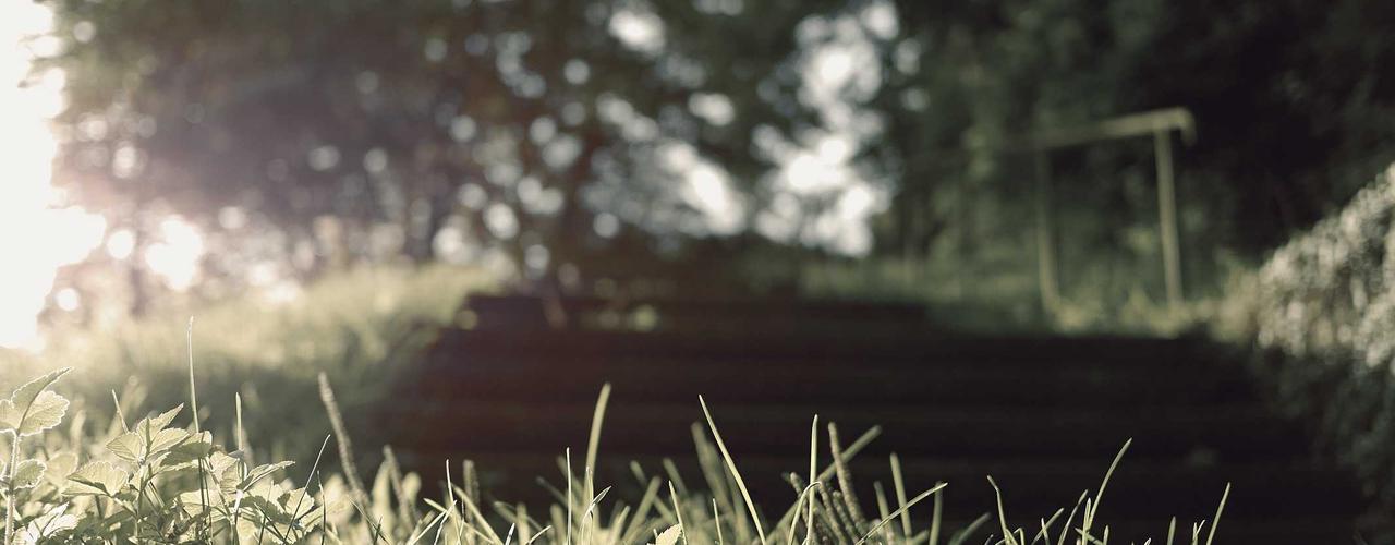 A random Sunday post at 12:11:01 PM