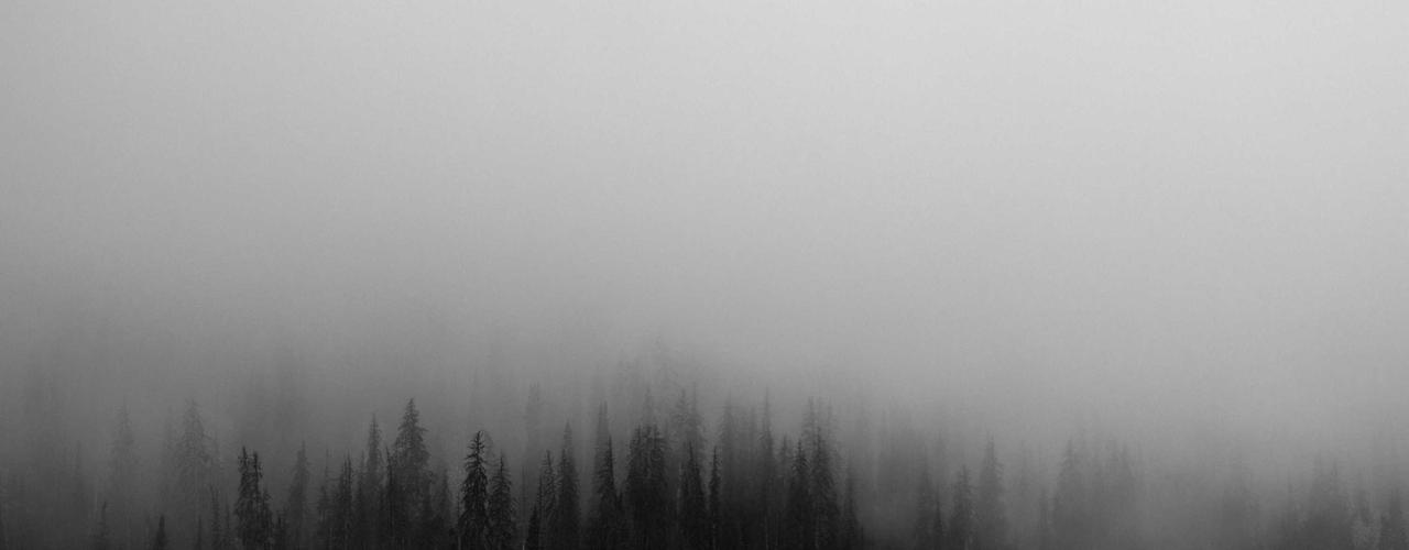 A random Tuesday post at 12:11:02 AM