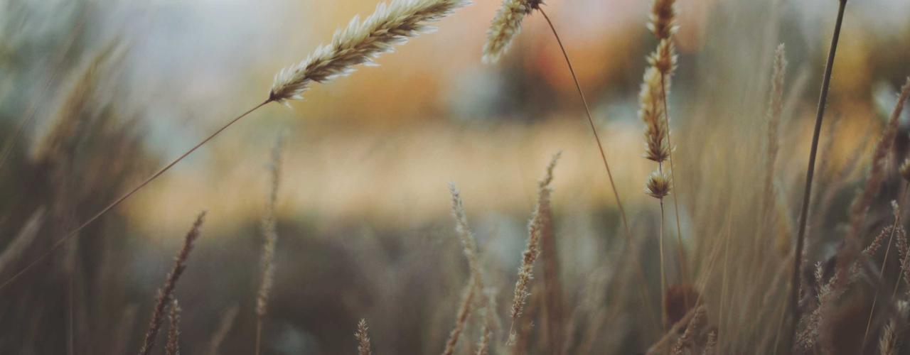 A random Tuesday post at 06:11:01 AM