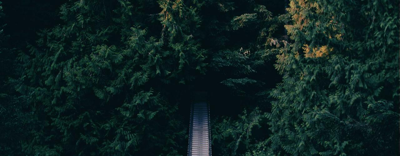 A random Wednesday post at 06:11:01 PM