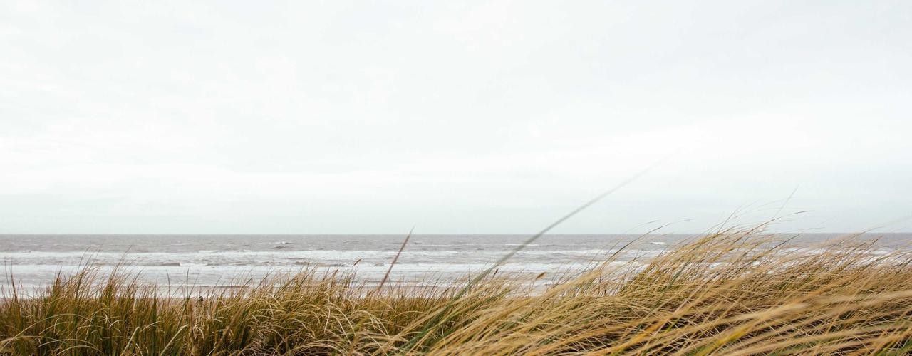 A random Thursday post at 06:11:01 AM