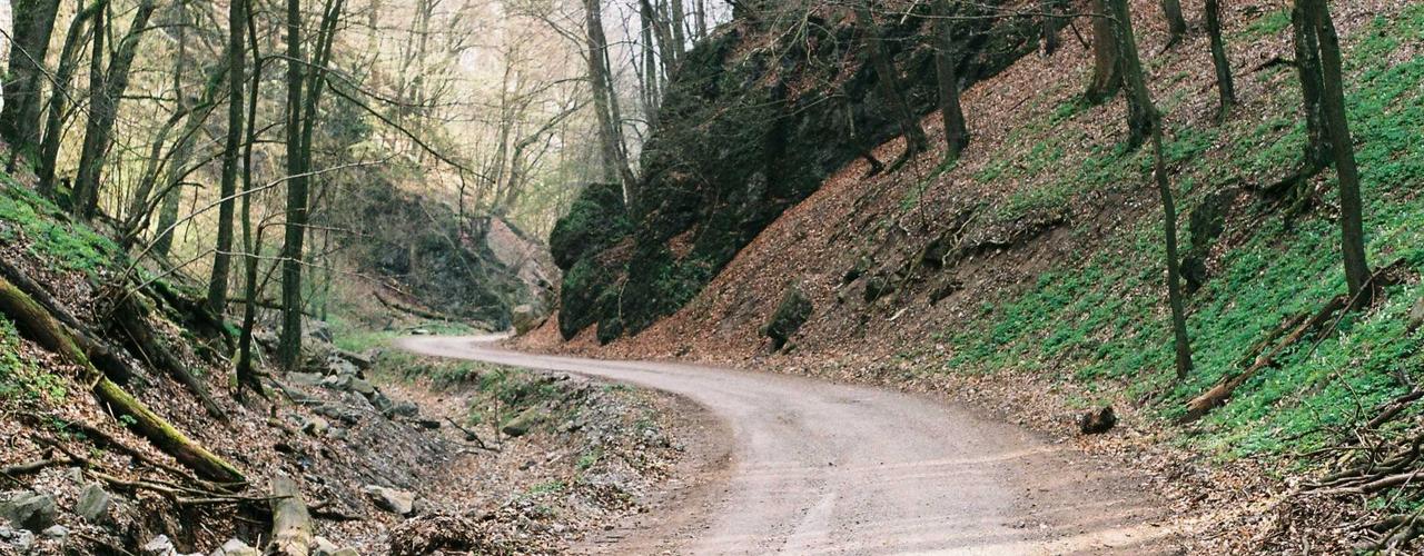 A random Saturday post at 12:11:01 PM