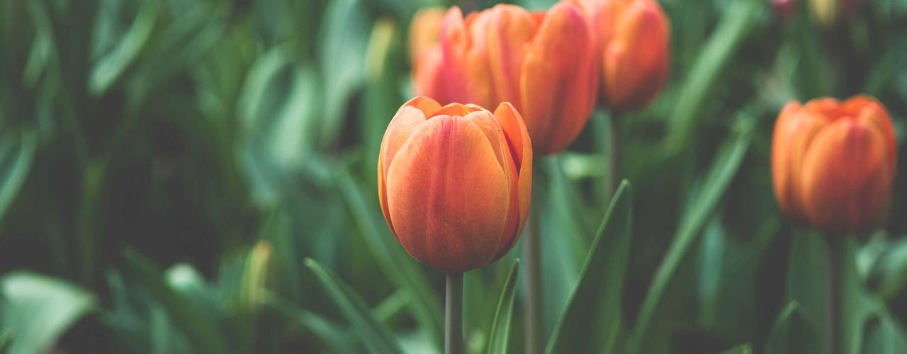 A random Sunday post at 06:11:01 AM