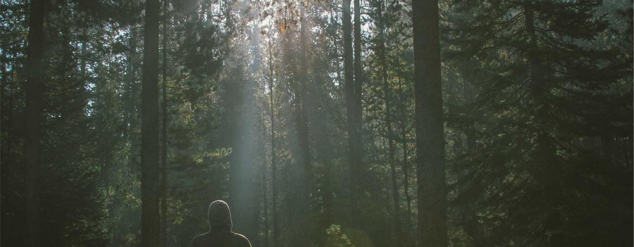 A random Wednesday post at 06:11:02 AM