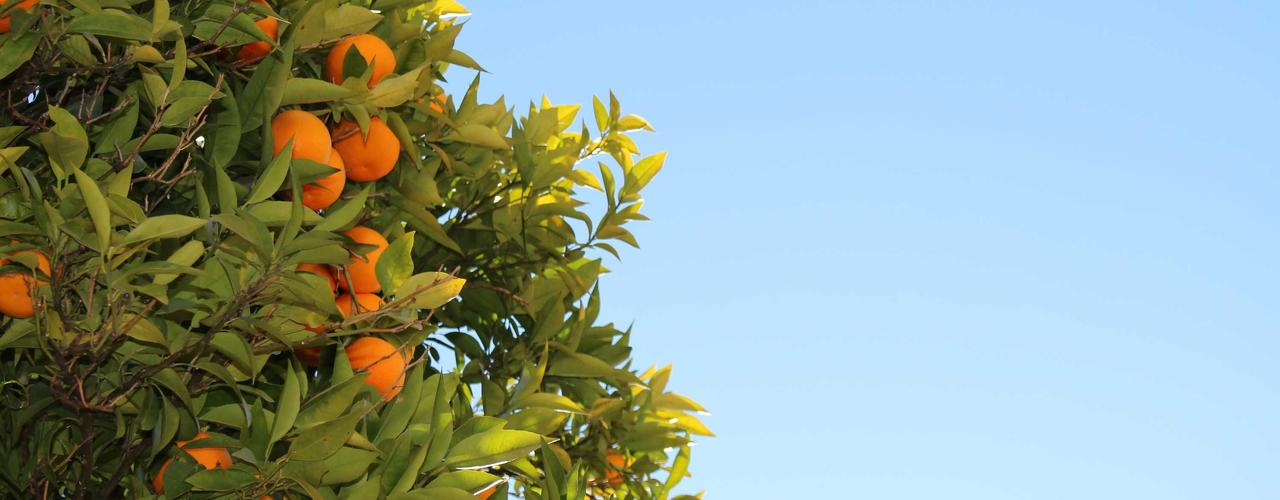 A random Friday post at 12:11:01 PM