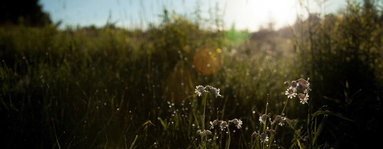 A random Wednesday post at 12:11:01 PM