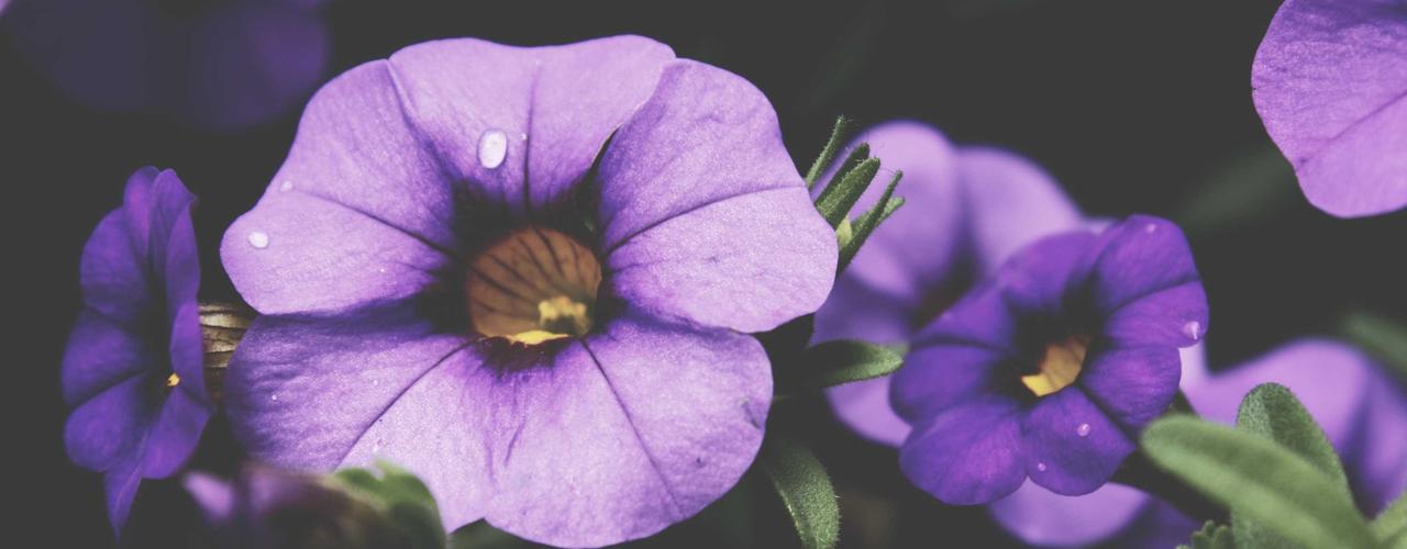 A random Tuesday post at 06:11:02 AM