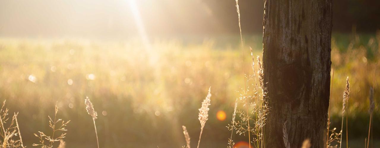 A random Wednesday post at 06:11:01 AM