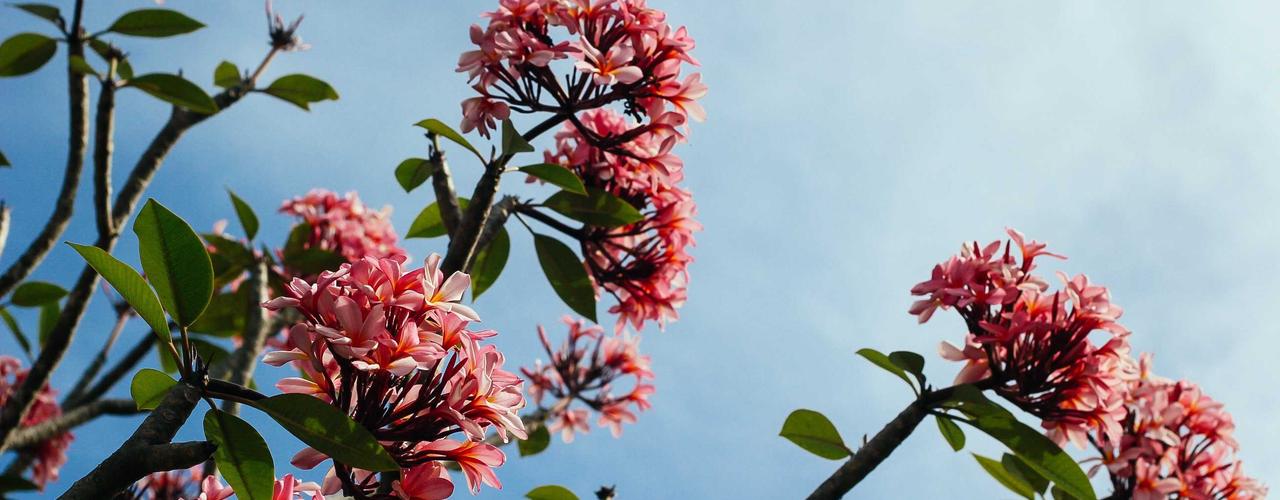 A random Friday post at 12:11:01 PM