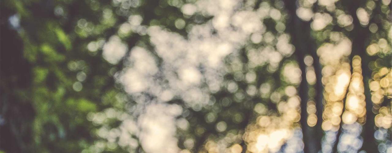 A random Thursday post at 12:11:01 AM