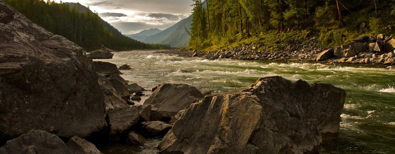 A random Friday post at 12:11:01 AM